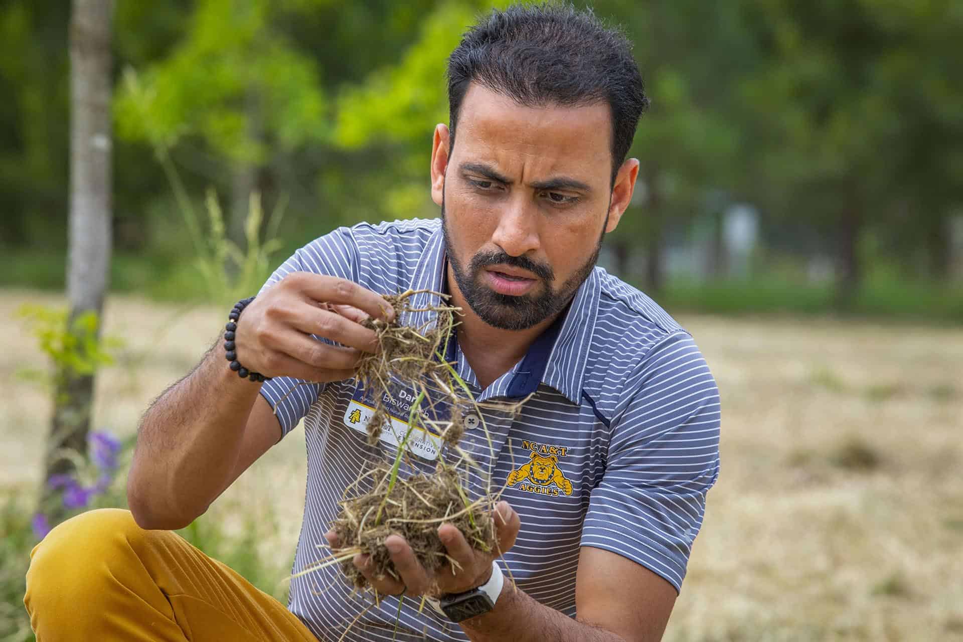 Farmers examining plant roots in a field Farmer inspecting plant roots for health and growth in an agricultural setting.