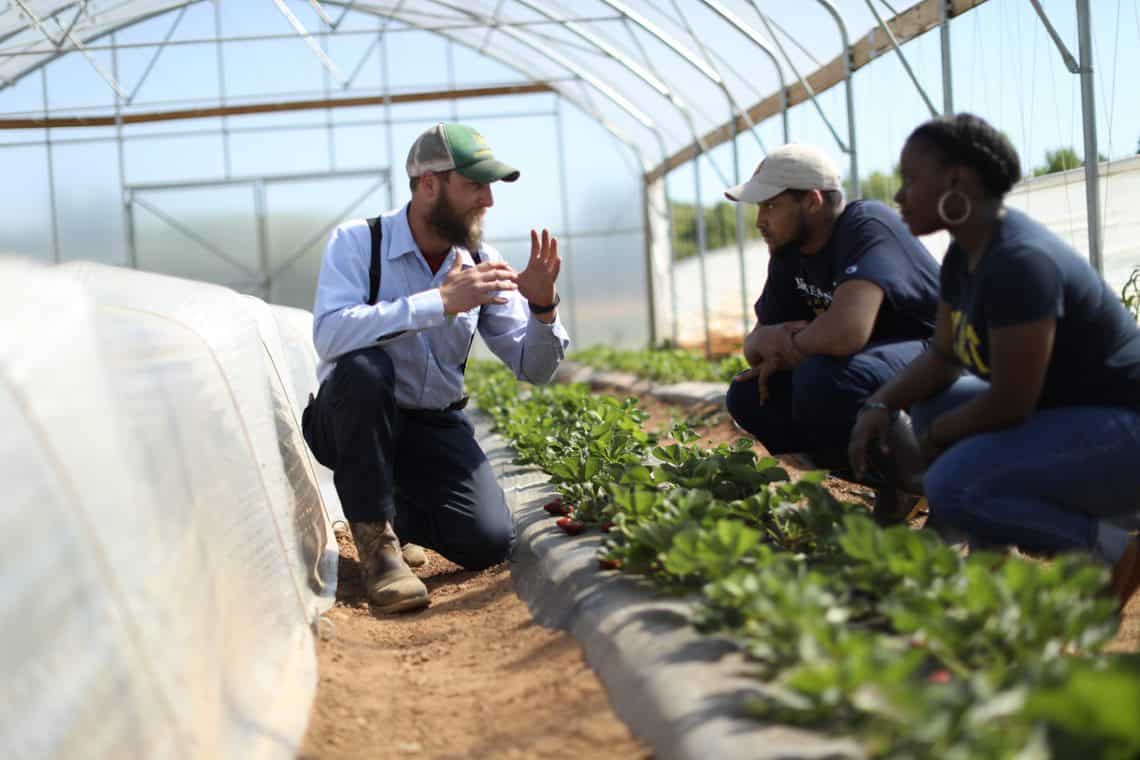 Greenhouse farming training session with diverse students and instructor. Expert teaching sustainable agriculture techniques in a greenhouse environment.