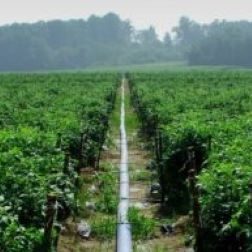 Irrigation and Water Systems Research and Resources