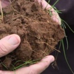 Soil Health Research and Resources